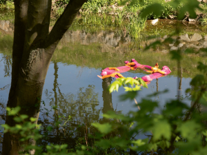 http://alexandermeyer.org/files/gimgs/th-69__08A6707-Bearbeitet.jpg